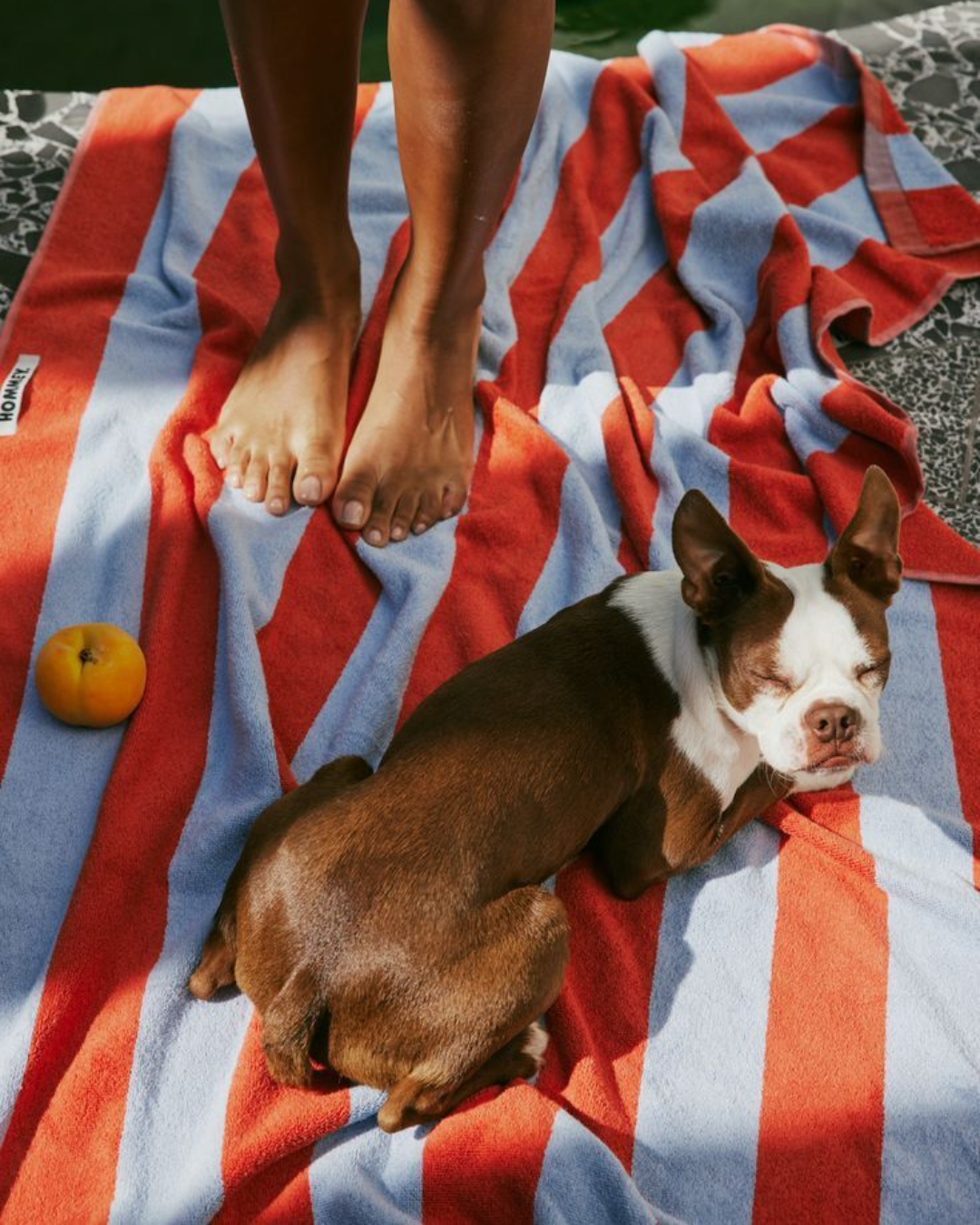 Pet-friendly hotel at Olimpo by Otium San Juan