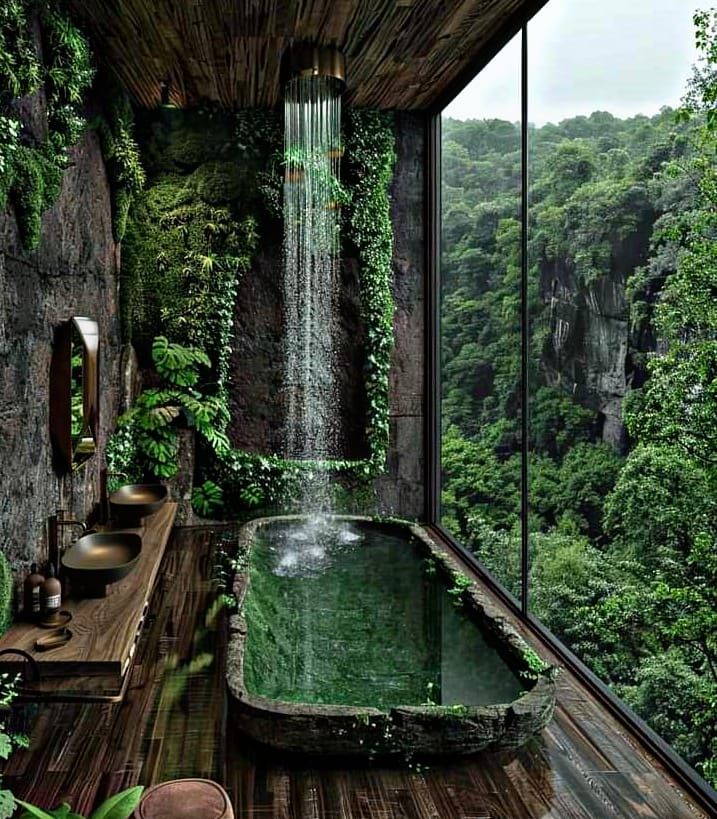 El Yunque National Forest Puerto Rico: All Questions Answered 10 El Yunque National Forest Puerto Rico: All Questions Answered