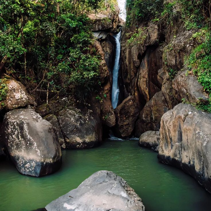 El Yunque National Forest Puerto Rico: All Questions Answered 4 El Yunque National Forest Puerto Rico: All Questions Answered