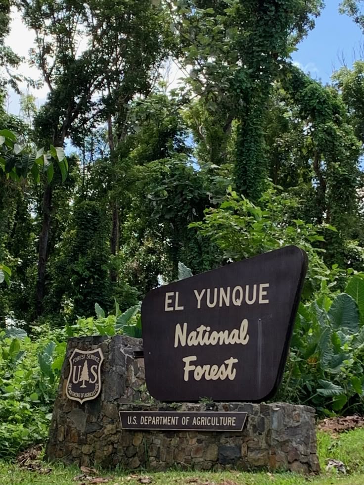 El Yunque National Forest Puerto Rico: All Questions Answered 2 El Yunque National Forest Puerto Rico: All Questions Answered