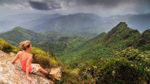 El Yunque National Forest Puerto Rico: All Questions Answered 7 El Yunque National Forest Puerto Rico: All Questions Answered