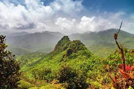 El Yunque National Forest Puerto Rico: All Questions Answered 8 El Yunque National Forest Puerto Rico: All Questions Answered