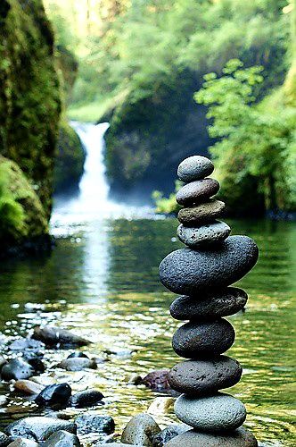 El Yunque National Forest Puerto Rico: All Questions Answered 12 El Yunque National Forest Puerto Rico All Questions Answered
