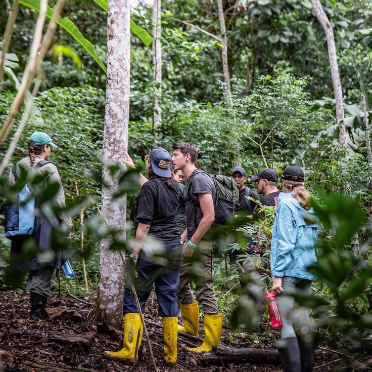 El Yunque National Forest Puerto Rico: All Questions Answered 5 El Yunque National Forest Puerto Rico: All Questions Answered