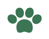 Stayotium Icons Pet Friendly