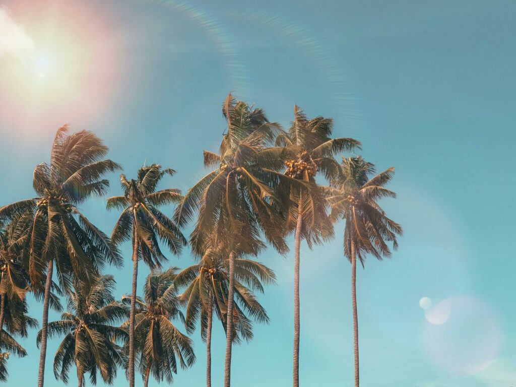 Best And Worst Months To Visit Puerto Rico: A Comprehensive Guide